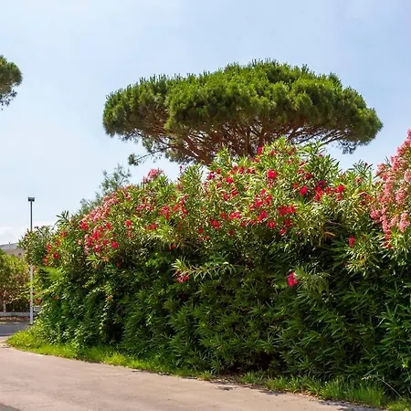 Villa Chez Diane - Luxueuse Avec Piscine Et A Proximite *