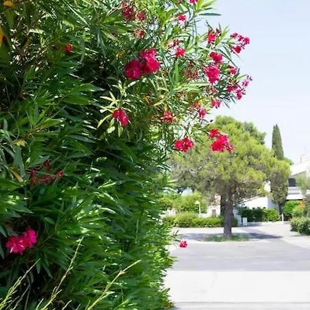 Chez Diane - Luxueuse Avec Piscine Et A Proximite